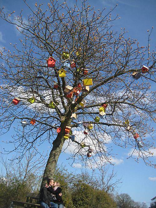 65cc9c93b1a75f8f86456974_2010_bh_250-birdhouses_web-8-p-500