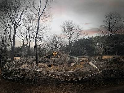 Thomas Dambo - Mama Zelda's Hair