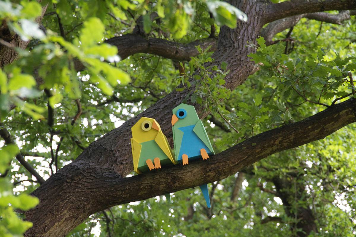 65ccce81e6d126e46a246dd5_2013_bird-house_happy-city-birds_resized