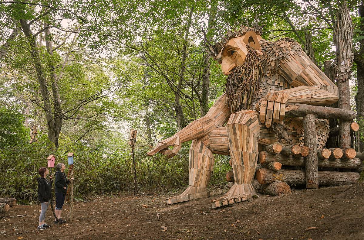 65c209419f9837785e93ee3e_10-oscar-the-bird-king-vashon-island-washington-scaled