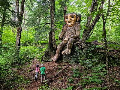 WAY OF THE BIRD 直筆サイン入り WAY OF THE BIRD 直筆サイン入り WAY