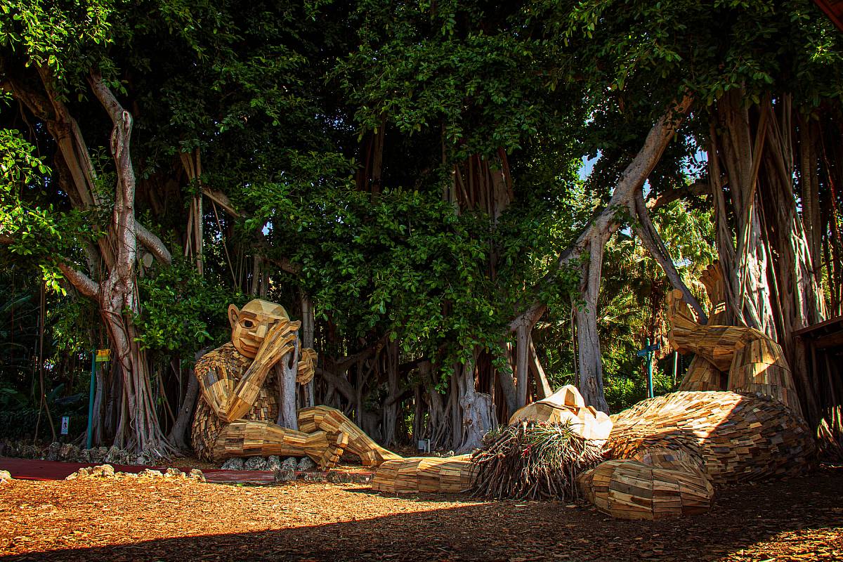 65cc88b4089e0c53c5ad1f20_057058_2019_berta-terje-and-the-banyan-tree_web-1